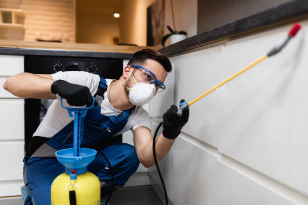 Best Bed Bug Extermination  in Pleasant Hill, MS