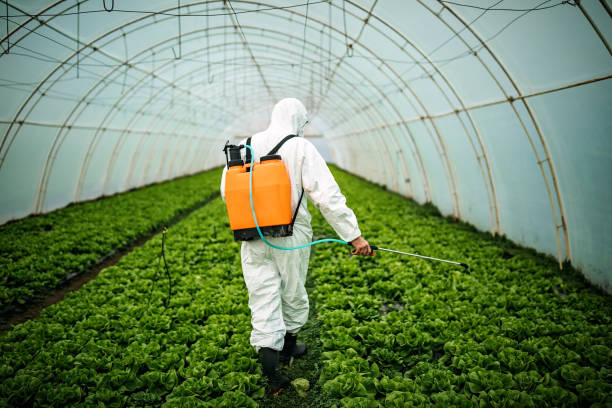 Best Pest Control Near Me  in Pleasant Hill, MS