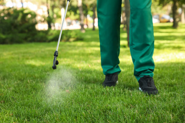 Best Emergency Pest Control  in Pleasant Hill, MS
