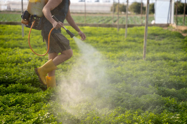 Best Pest Control for Homes  in Pleasant Hill, MS