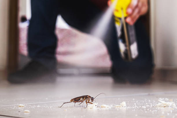 Best Cockroach Control Services  in Pleasant Hill, MS